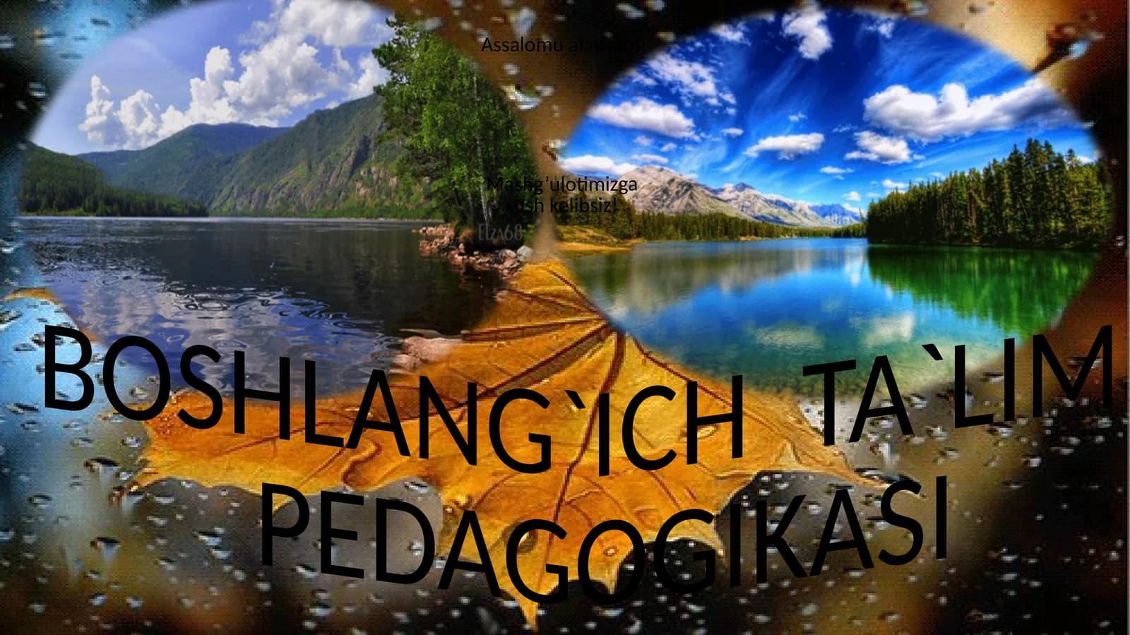 SHARQ UYG‘ONISH DAVRIDA BOSHLANG‘ICH TA’LIMGA OID PEDAGOGIK FIKRLARNING RIVOJLANISHI