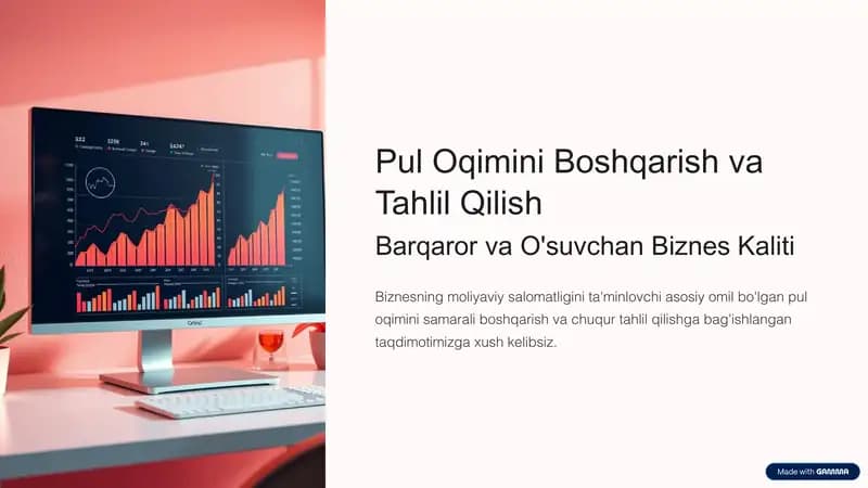 Pul Oqimini Boshqarish va Tahlil Qilish