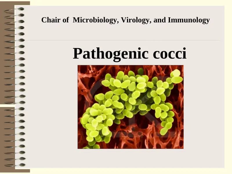 Chairof Microbiology, Virology, and Immunology