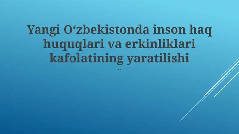 Inson haq huquqlari va erkinliklari kafolatining yaratilishi