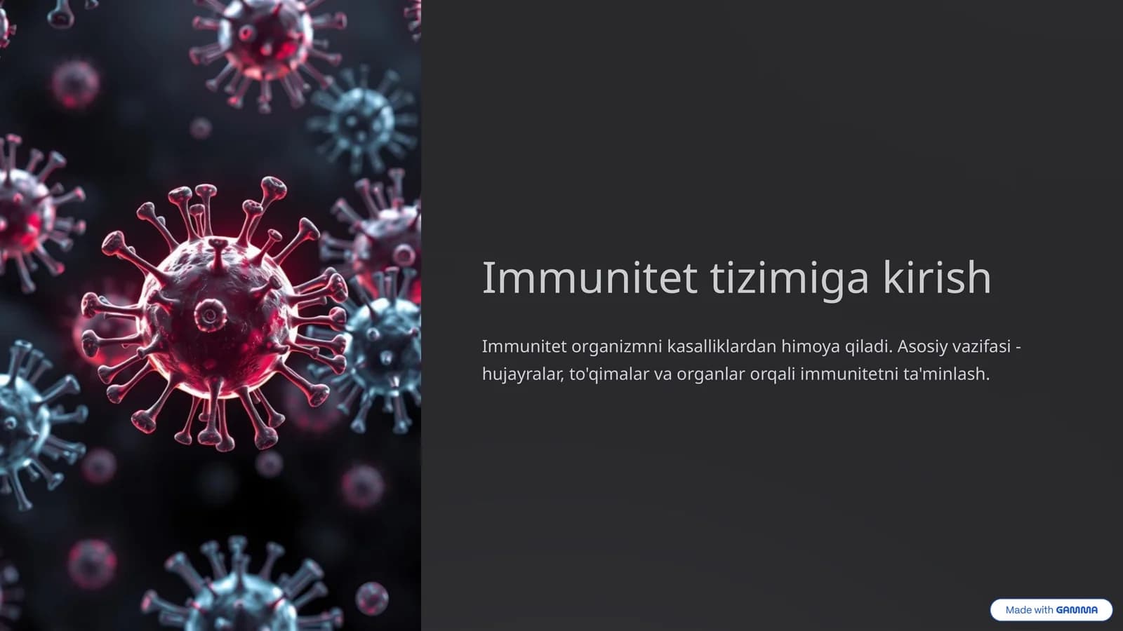 Immun tizim va uning vazifalari