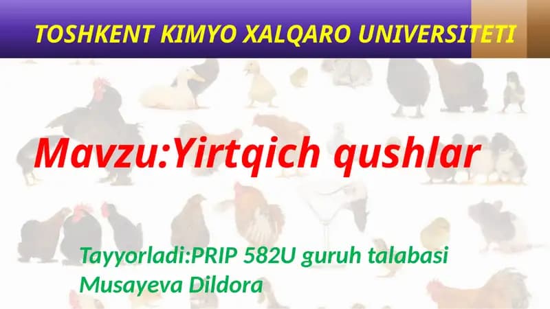 Yirtqichqushlar