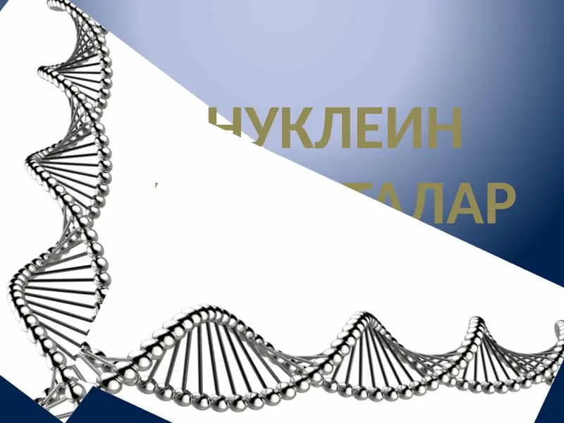 Нуклеин кислоталар
