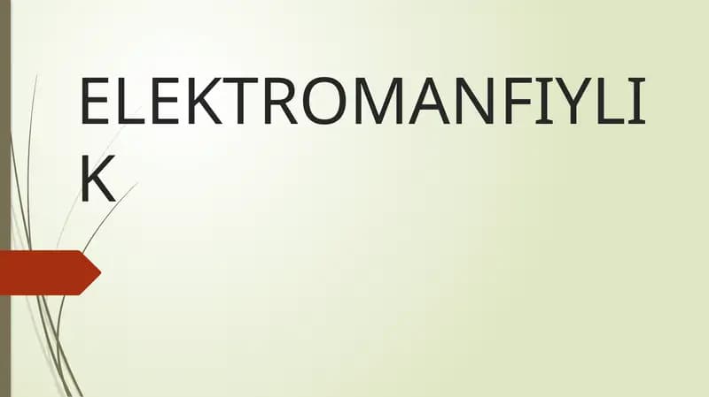 Elektromanfiylik