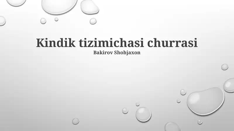 Kindik tizimichasi churrasi