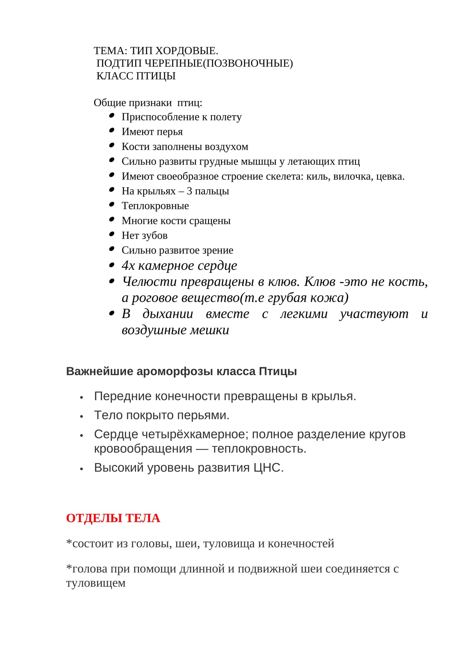 Птицы