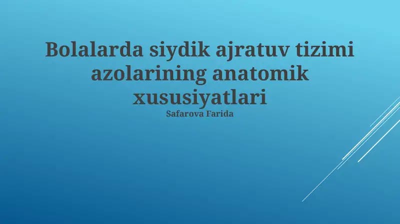 Bolalarda Siydik Ajratuv Tizimi Azolarining Anatomik Xususiyatlari