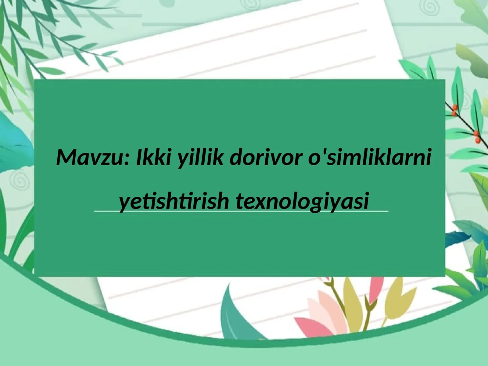 Ikki yillik dorivor o'simliklarni yetishtirish texnologiyasi