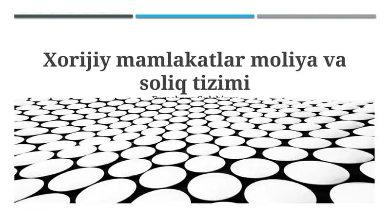 Chet el mamlakatlar moliya va soliq tizimi