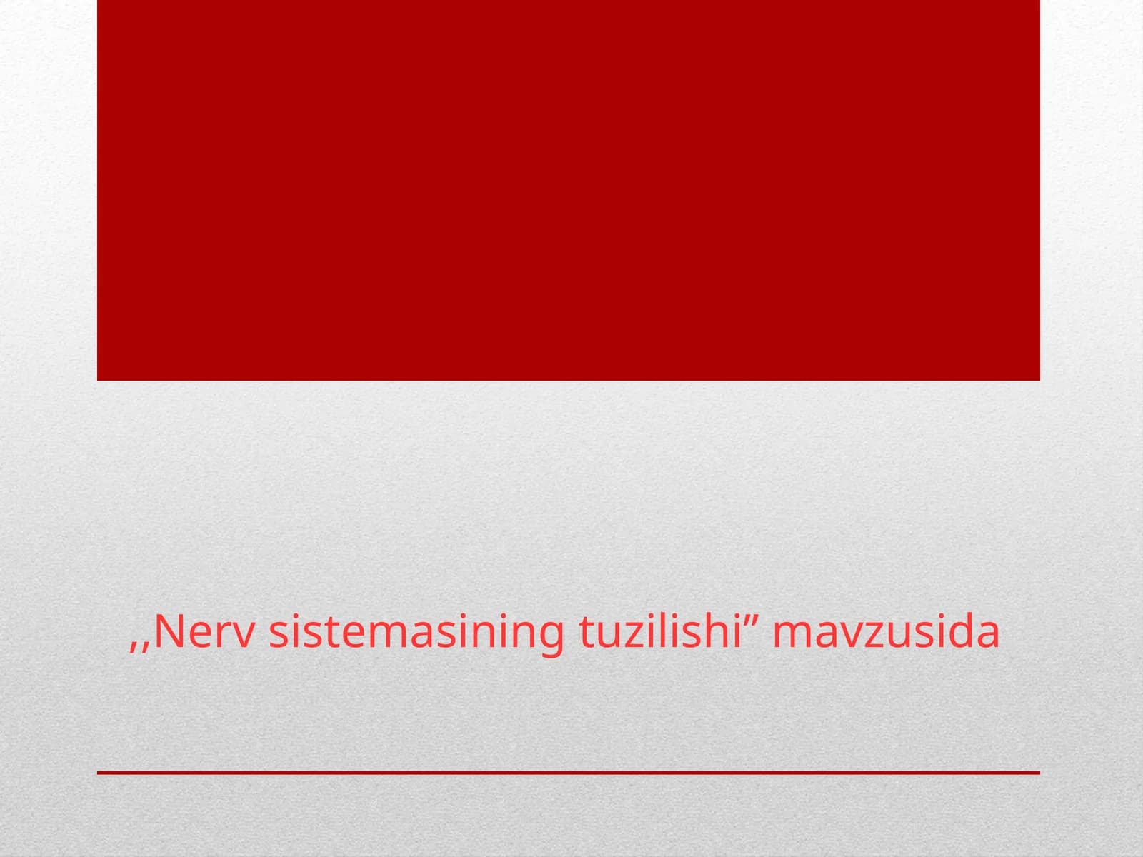 Nerv sistemasining tuzilishi