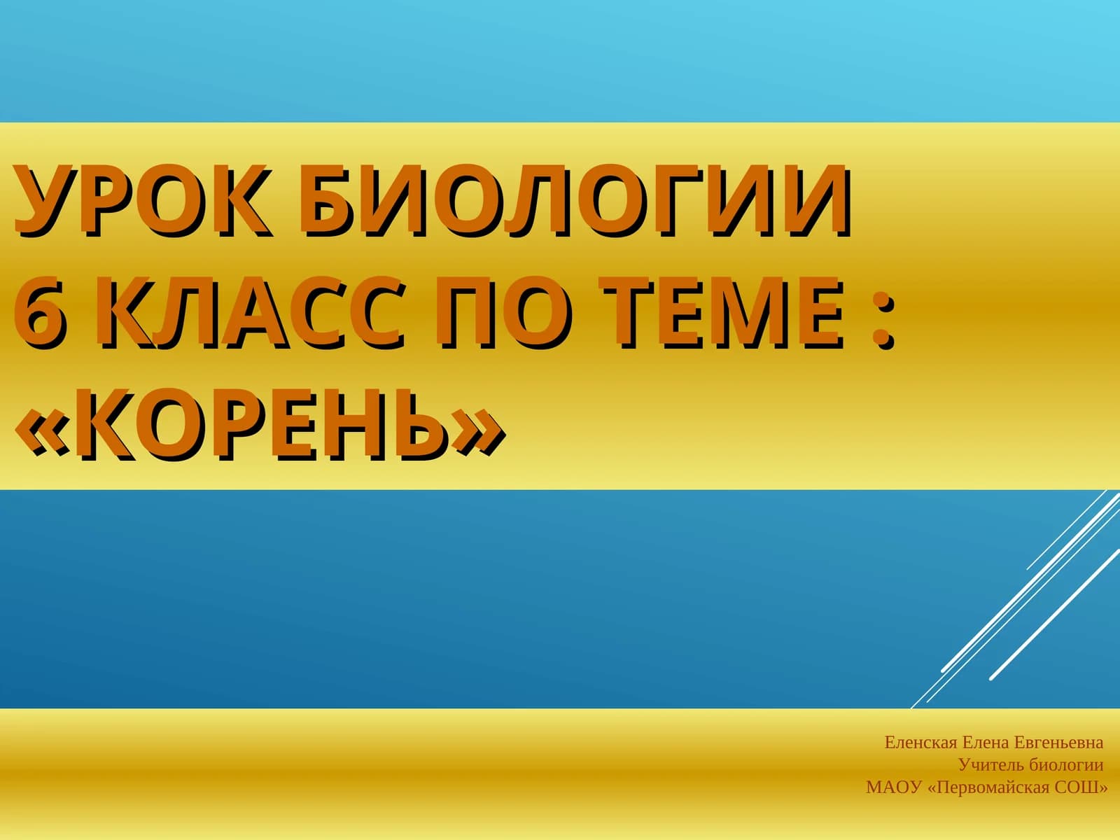 Урок биологии 6 класс по теме : «Корень»