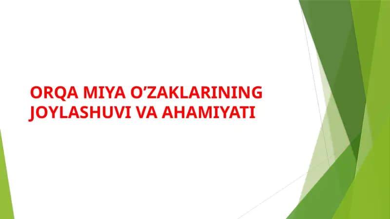 Orqa miya o’zaklarining joylashuvi va ahamiyati