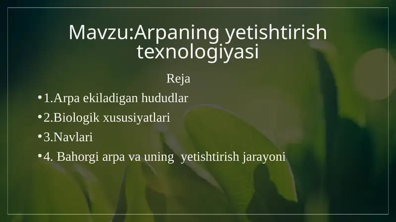 Arpaning yetishtirish texnologiyasi