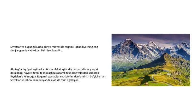 Raqamli iqtisodiyotning rivojlanishi