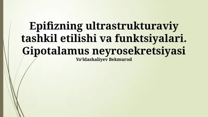 Epifizning ultrastrukturaviy tashkil etilishi va funktsiyalari