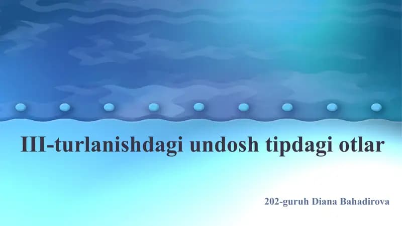 III-turlanishdagi undosh tipdagi otlar