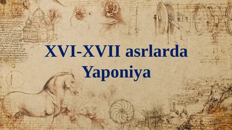 XVI-XVII asrlarda Yaponiya