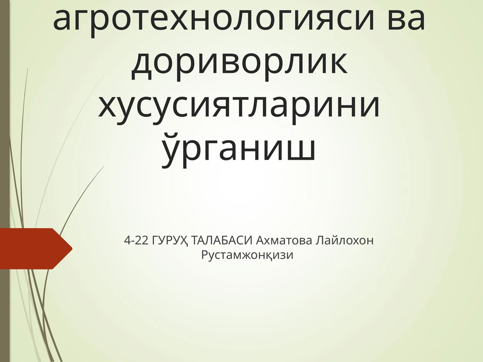 Доривор мойчечак(Matricaria recutita L) ўсимлигининг агротехнологияси ва дориворлик хусусиятларини ўрганиш
