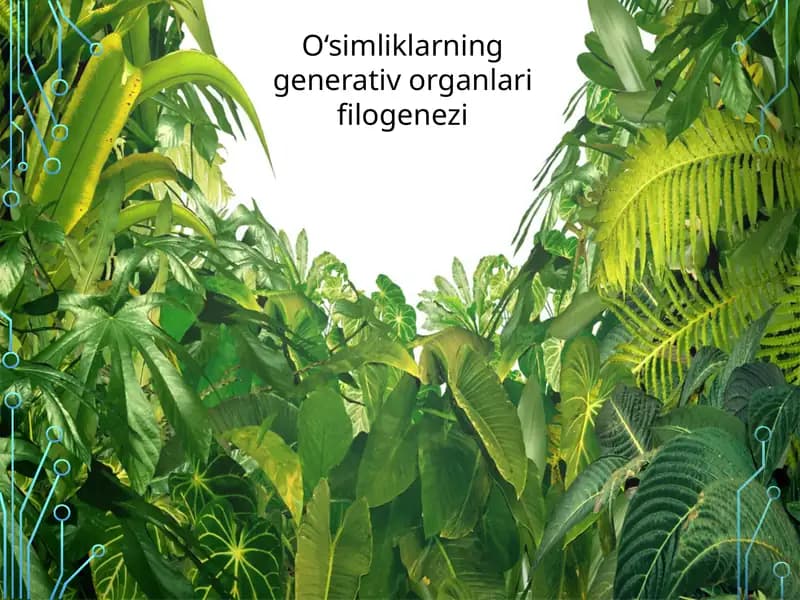 O‘simliklarning generativ organlari filogenezi
