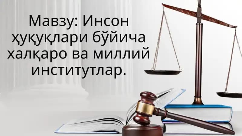 Инсон ҳуқуқлари бўйича халқаро ва миллий институтлар.
