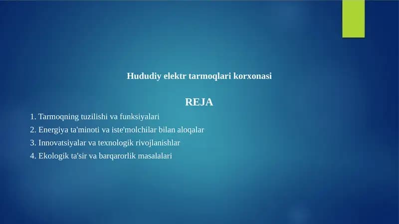 Hududiy elektr tarmoqlari korxonasi