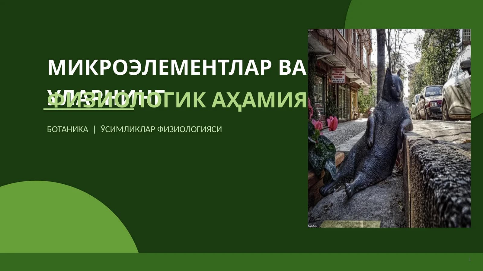 МИКРОЭЛЕМЕНТЛАР ВА УЛАРНИНГ ФИЗИОЛОГИК АҲАМИЯТИ