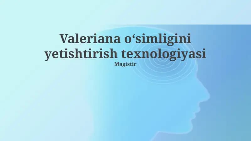 Valeriana oʻsimligini yetishtirish texnologiyasi