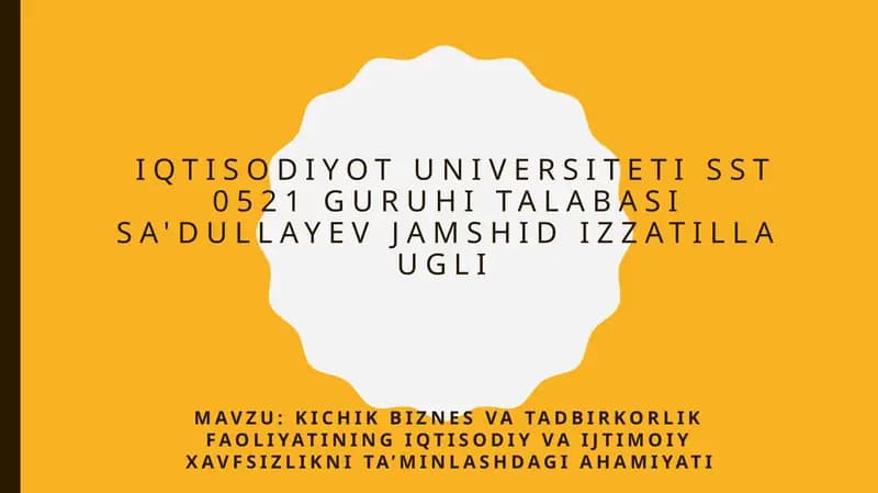 Kichik biznes va tadbirkorlik faoliyatining iqtisodiy va ijtimoiy xavfsizlikni ta'minlashdagi ahamiyati