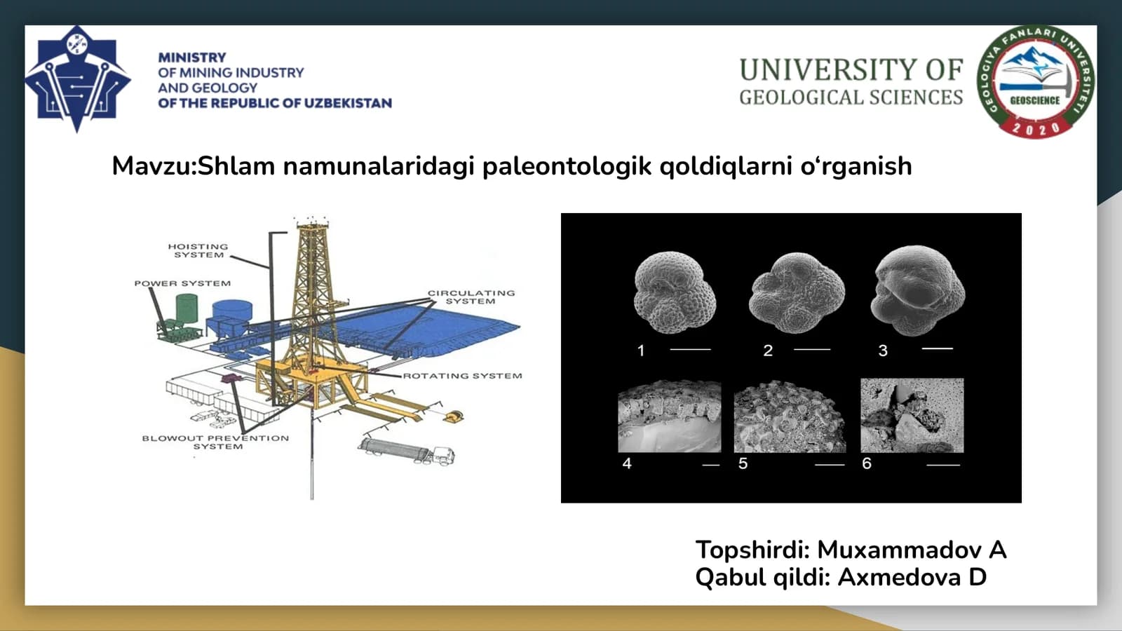 Mavzu:Shlam namunalaridagi paleontologik qoldiqlarni o‘rganish