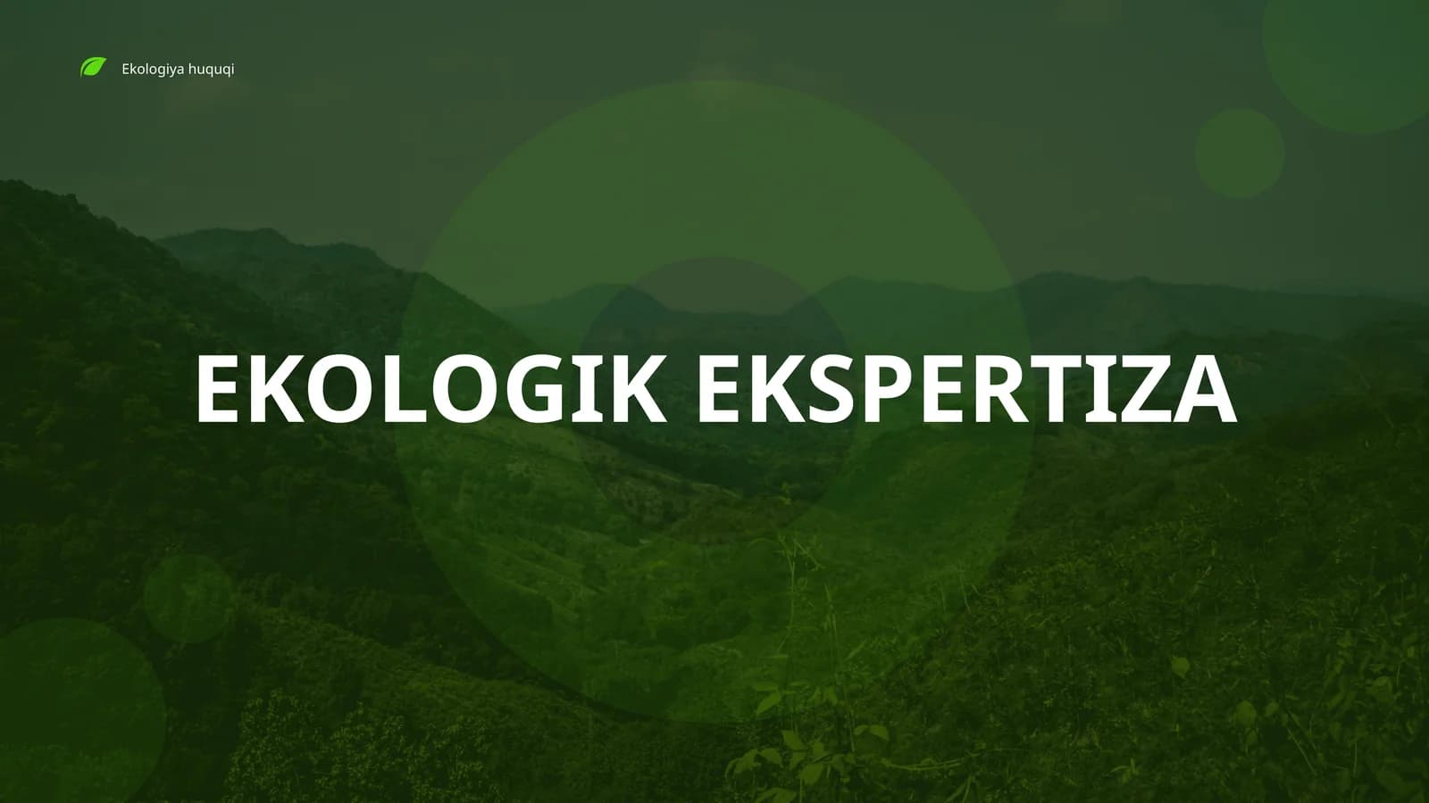 EKOLOGIK EKSPERTIZA