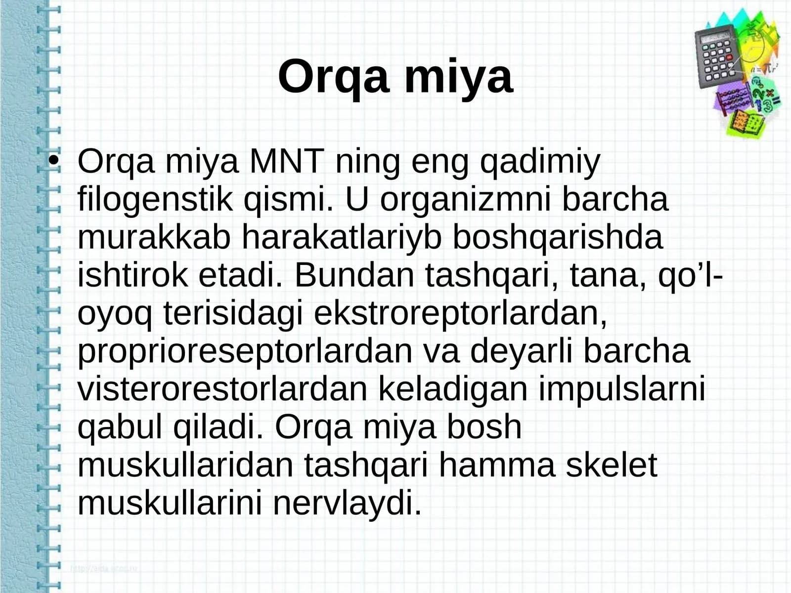 Orqa miya