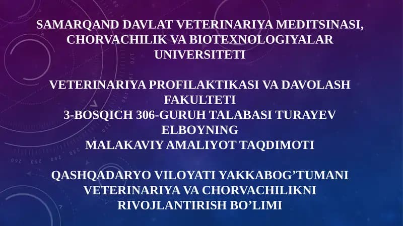 Turayev Elboyning malakaviy amaliyot taqdimoti