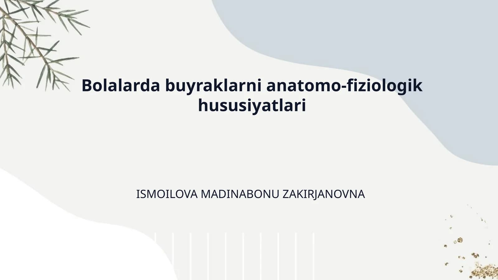 Bolalarda buyraklarni anatomo-fiziologik hususiyatlari