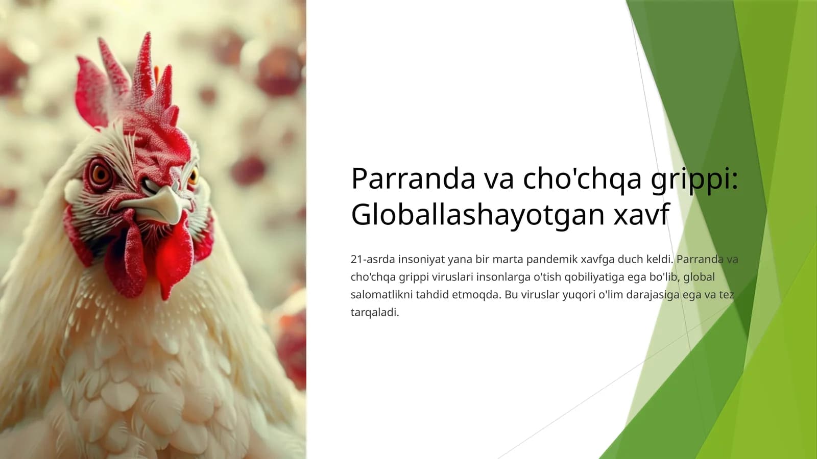 Parranda va cho'chqa grippi: Globallashayotgan xavf