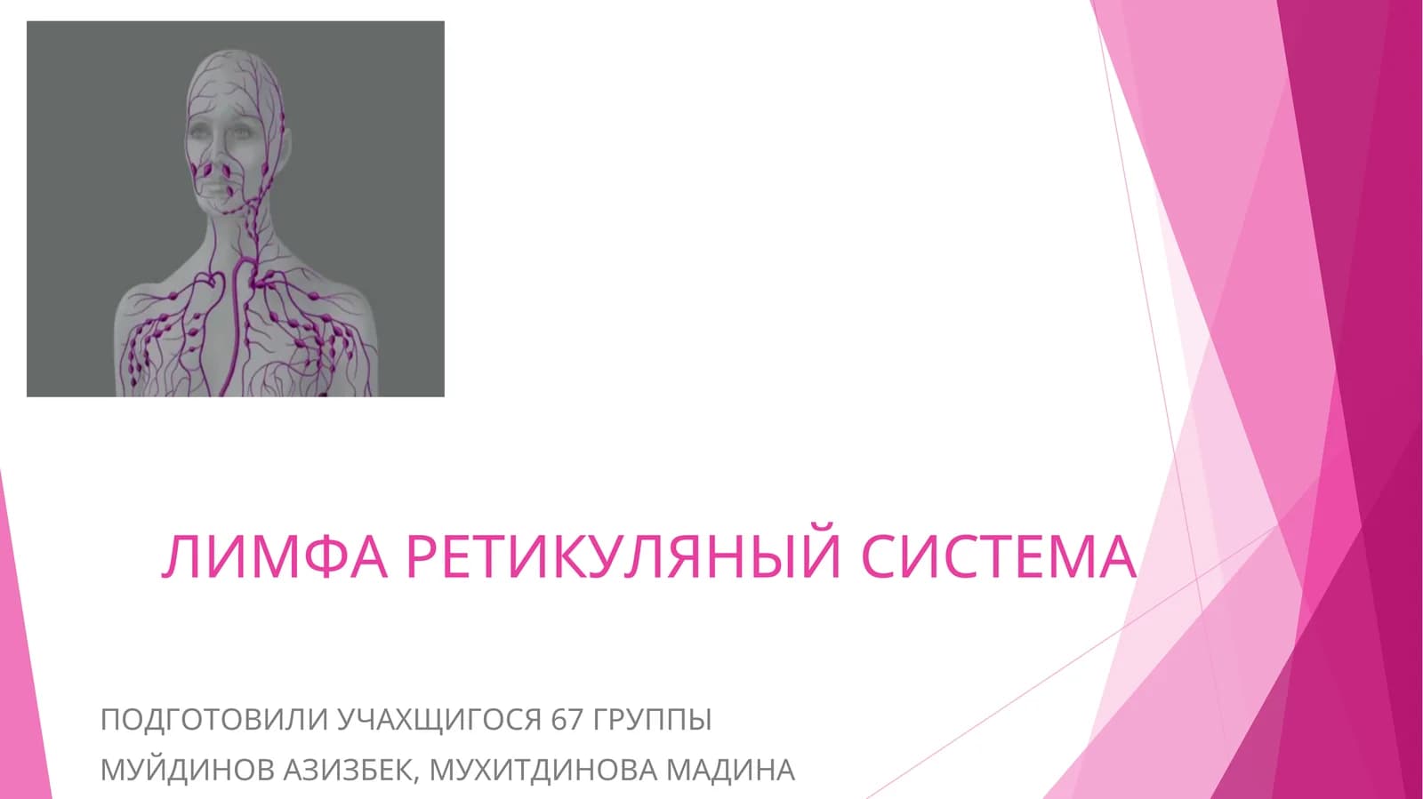 ЛИМФА РЕТИКУЛЯНЫЙ СИСТЕМА