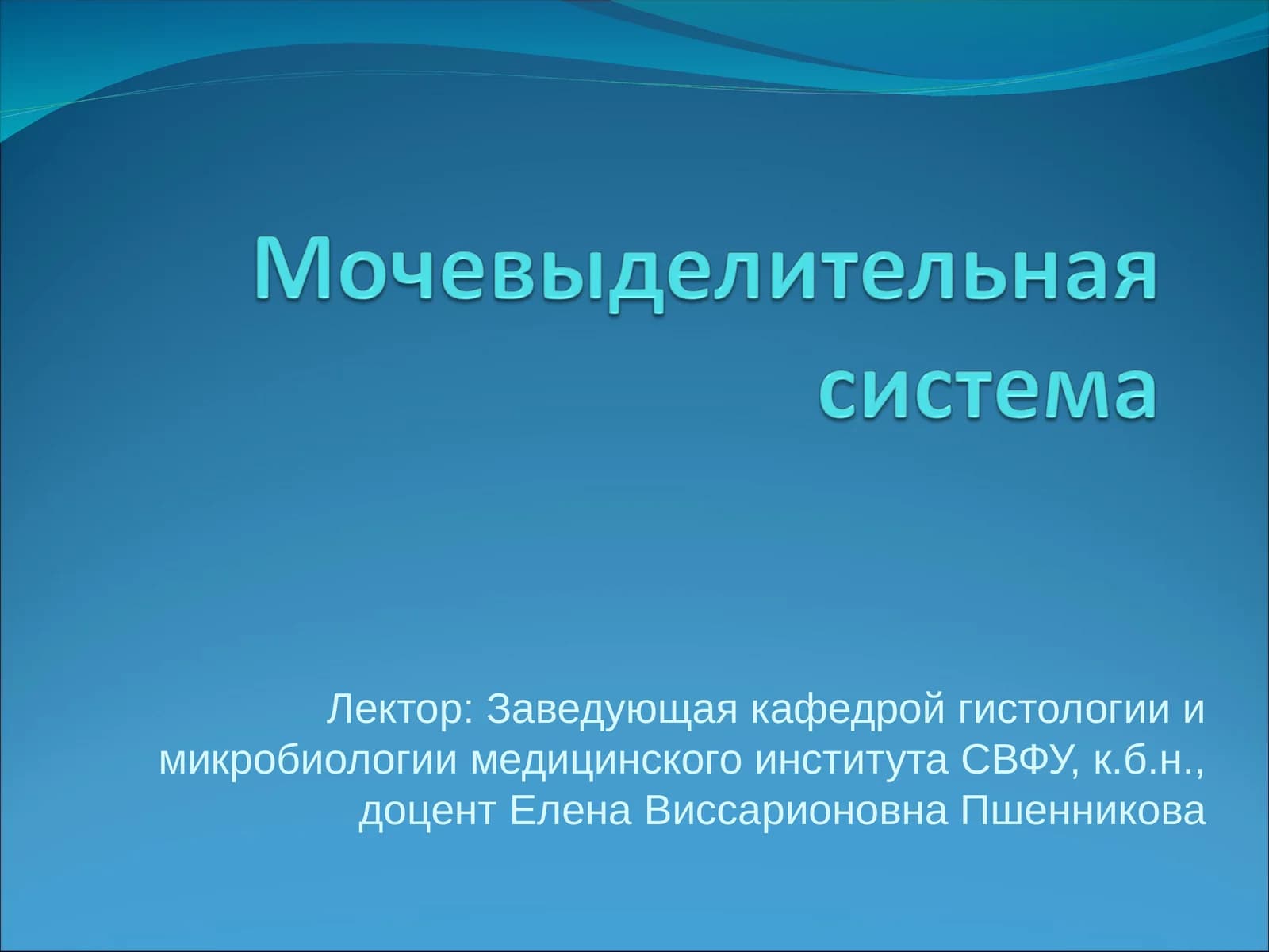Мочевыделительная система