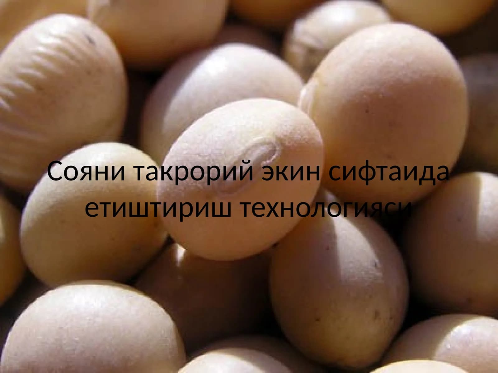 Сояни такрорий экин сифтаида етиштириш технологияси