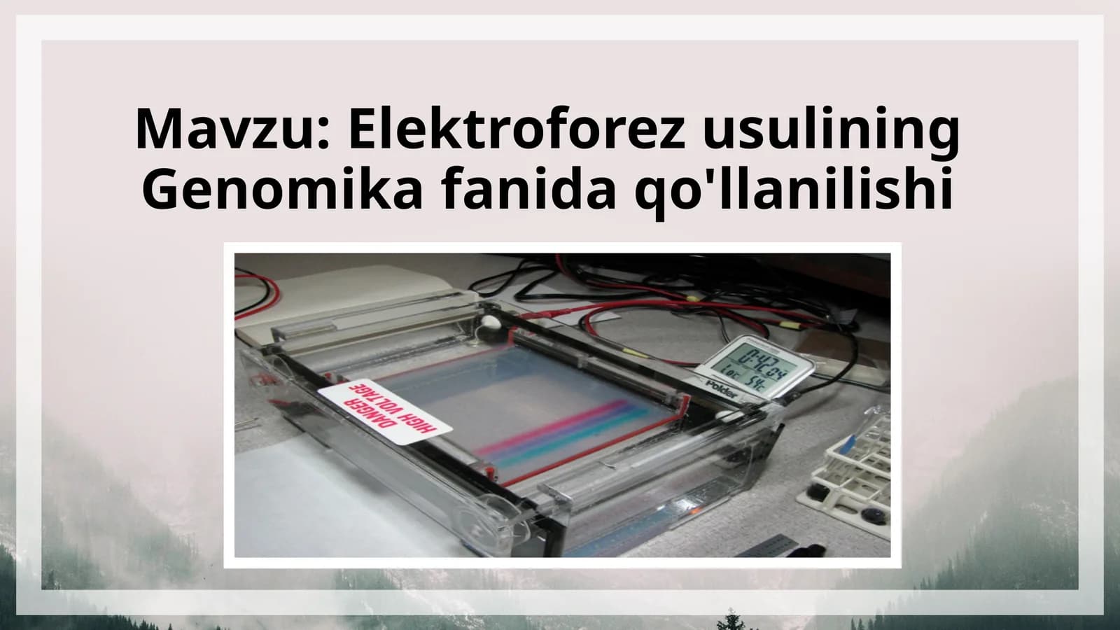 Elektroforez usulining Genomika fanida qo'llanilishi