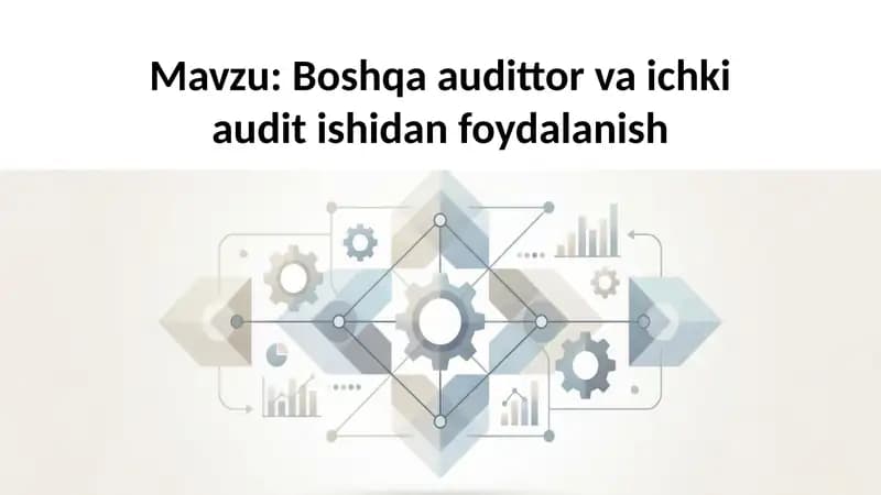 Boshqaaudittorva ichki audit ishidan foydalanish