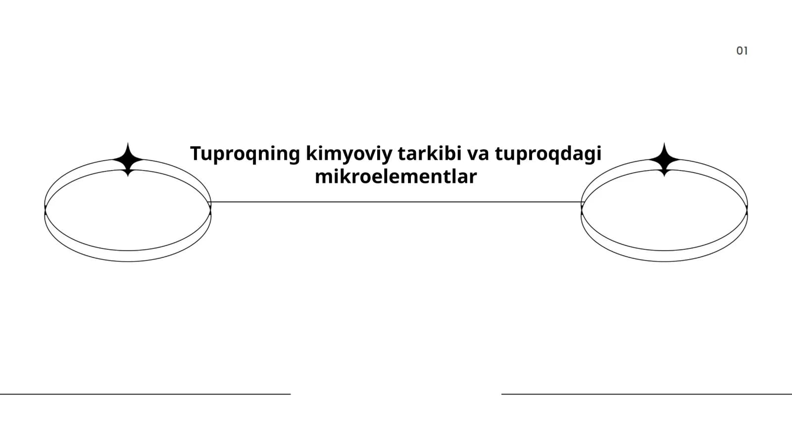 Tuproqning kimyoviy tarkibi va tuproqdagi mikroelementlar