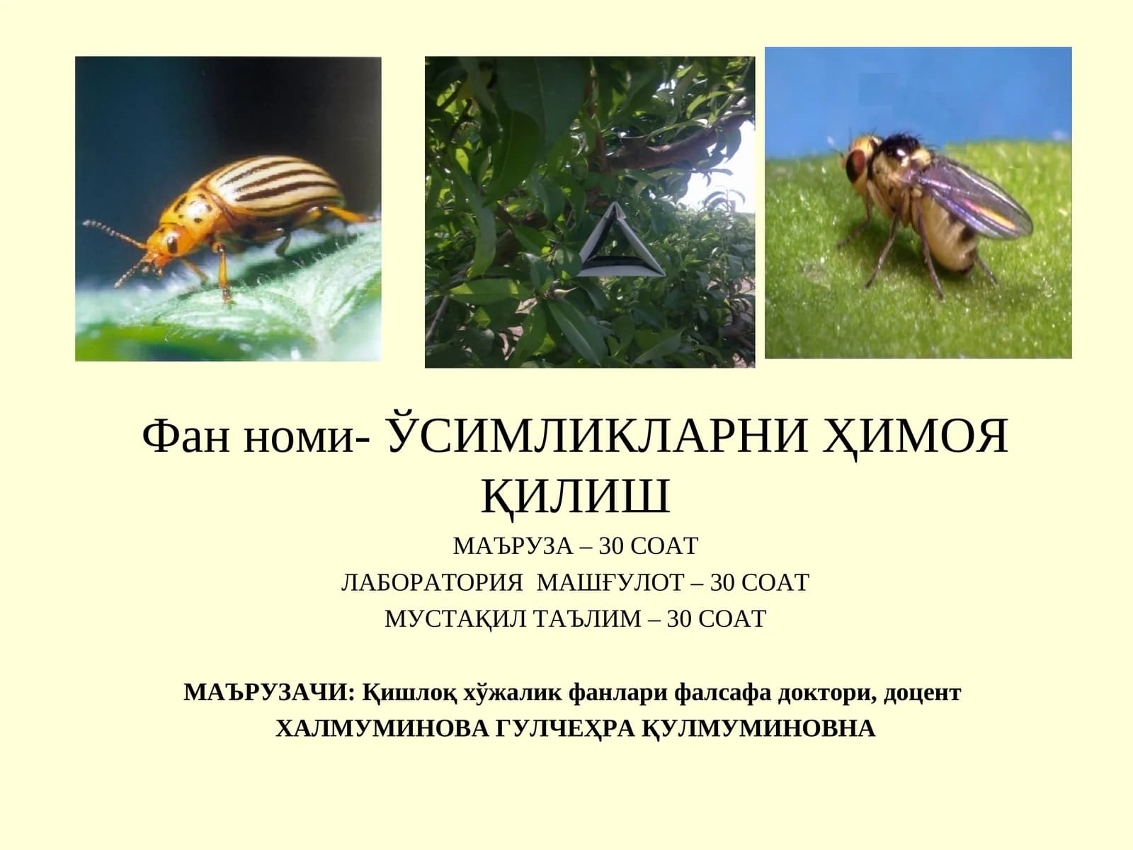 Ўсимликларни кимёвий ҳимоя қилиш