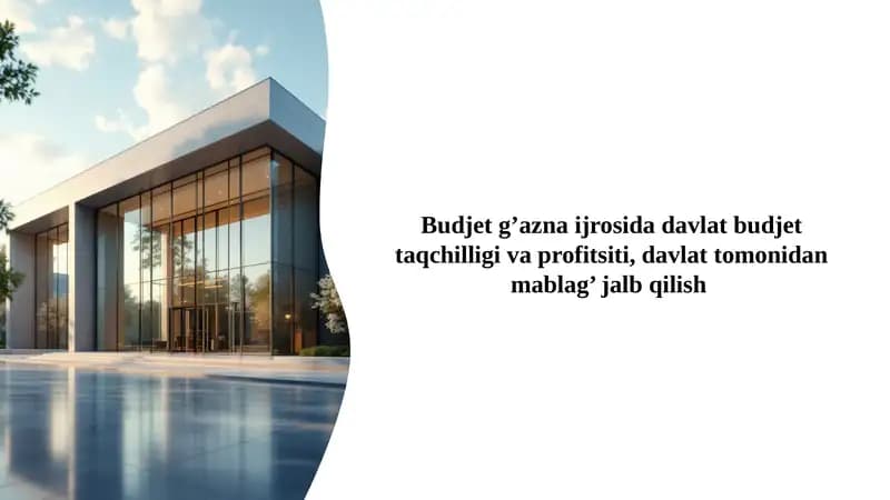 Budjet g’azna ijrosida davlat budjet taqchilligi va profitsiti, davlat tomonidan mablag’ jalb qilish