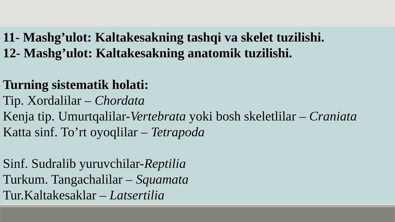 Kaltakesakning tashqi va skelet tuzilishi