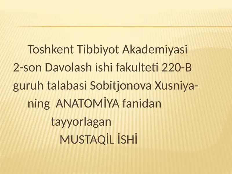 Бош мия пўстлоғи