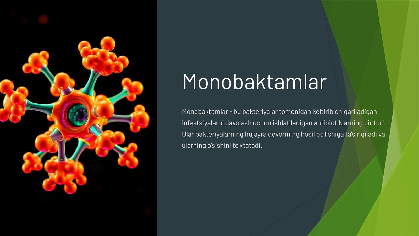 Monobaktamlar