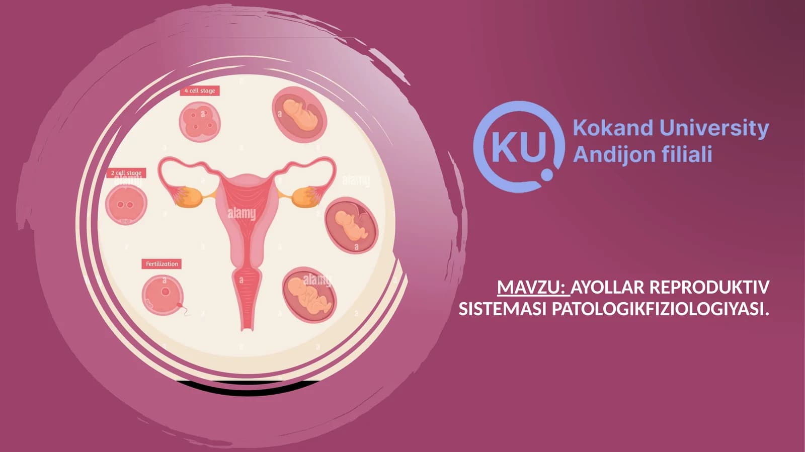 Ayollar reproduktiv sistemasi patologikfiziologiyasi