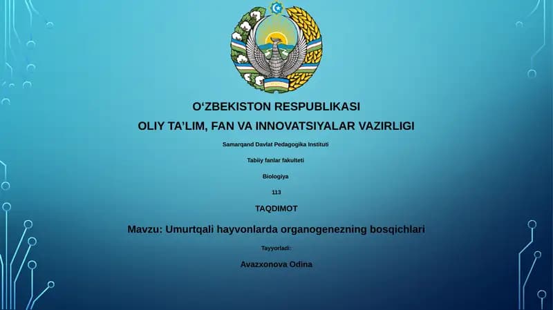 Umurtqali hayvonlarda organogenezning bosqichlari