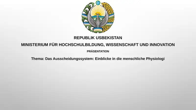 Das Ausscheidungssystem: Einblick in die menschliche Physiologie