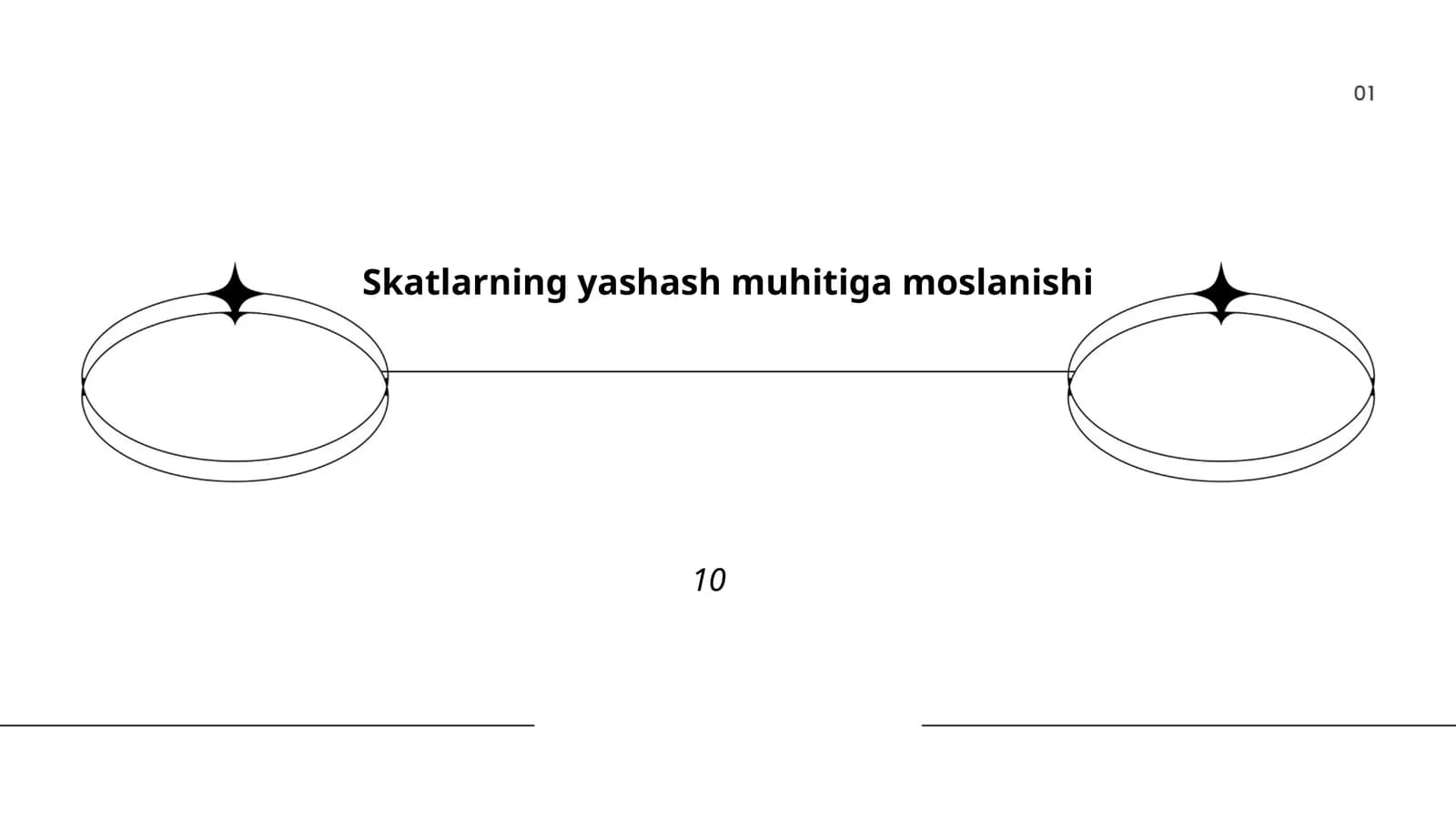 Skatlarning yashash muhitiga moslanishi