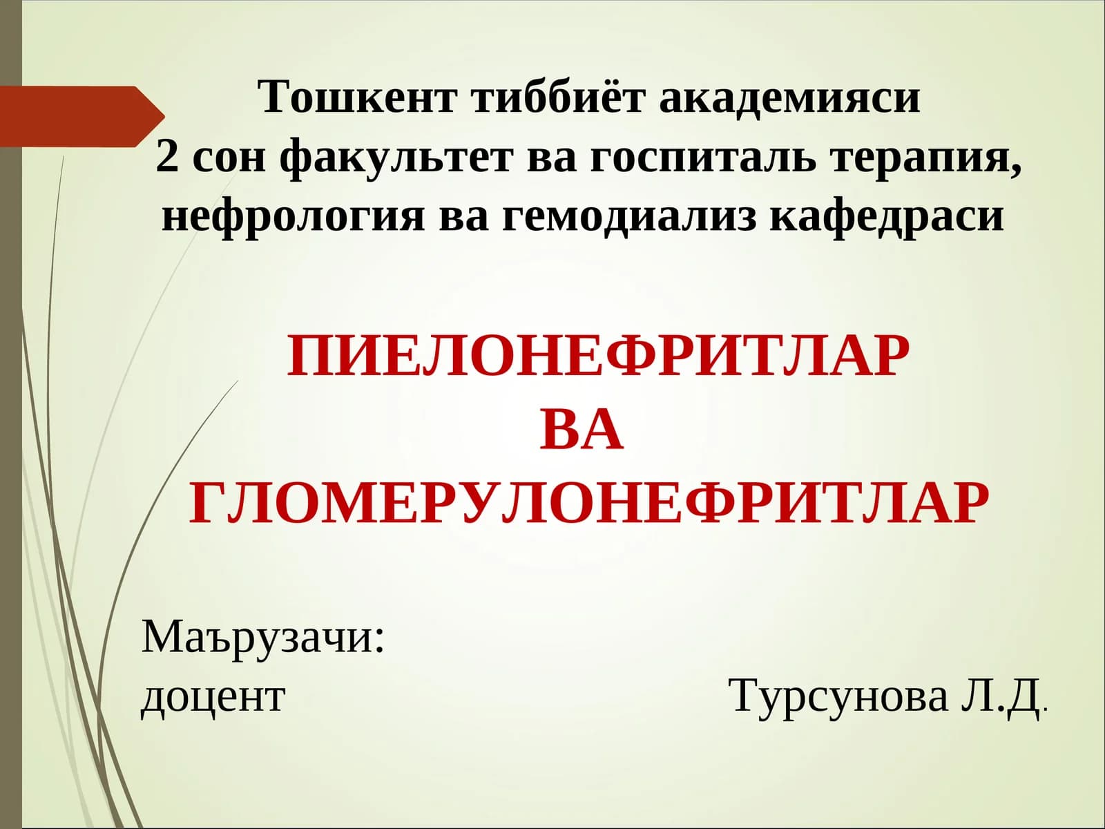 Пиелонефрит ва гломерулонефритлар
